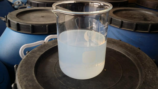 1597746917564349.jpg u=4250462341,882872618&fm=26&gp=0.jpg